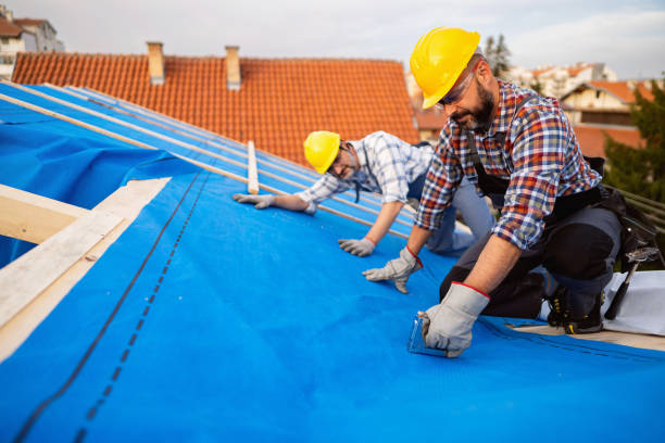 Best Metal Roofing Contractor  in Aberdeen, ID